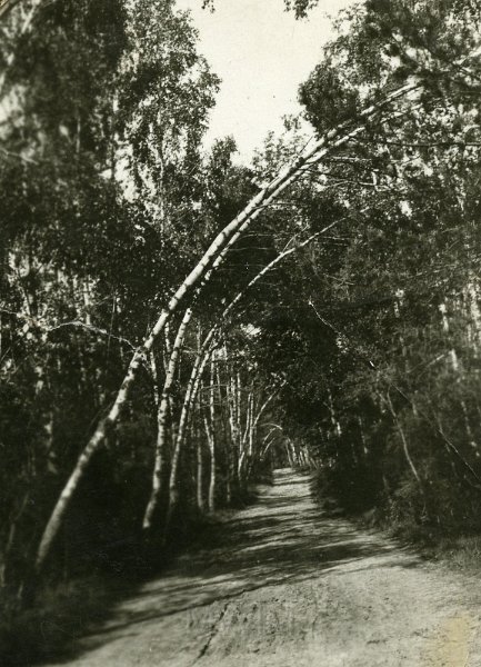 KKE 4987.jpg - Fot. Droga na jezioro Świteź, Miratycze, lata 30-te XX wieku.